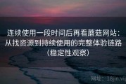 连续使用一段时间后再看蘑菇网站：从找资源到持续使用的完整体验链路（稳定性观察）