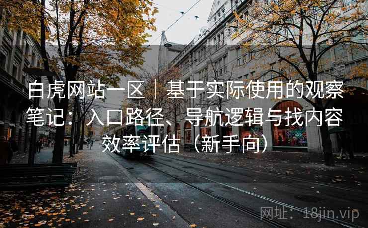 白虎网站一区｜基于实际使用的观察笔记：入口路径、导航逻辑与找内容效率评估（新手向）
