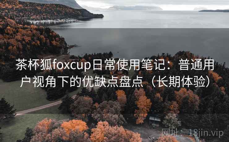 茶杯狐foxcup日常使用笔记：普通用户视角下的优缺点盘点（长期体验）