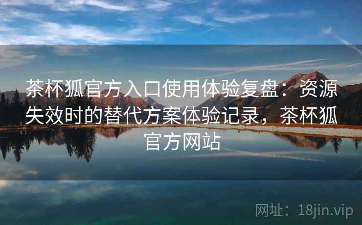 茶杯狐官方入口使用体验复盘：资源失效时的替代方案体验记录，茶杯狐官方网站