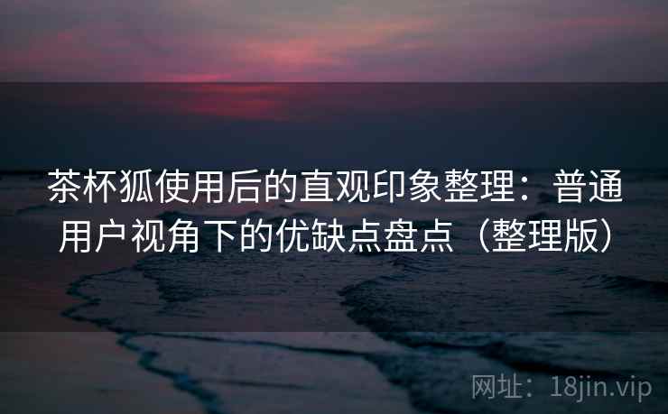 茶杯狐使用后的直观印象整理：普通用户视角下的优缺点盘点（整理版）