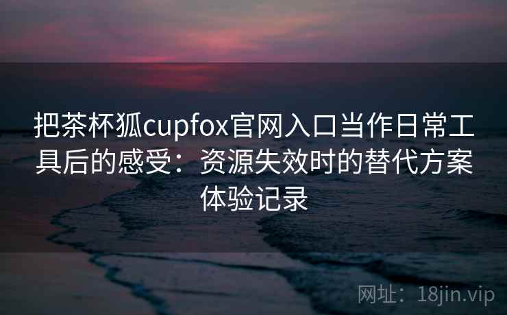 把茶杯狐cupfox官网入口当作日常工具后的感受：资源失效时的替代方案体验记录