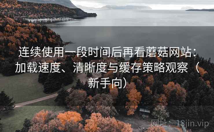 连续使用一段时间后再看蘑菇网站：加载速度、清晰度与缓存策略观察（新手向）