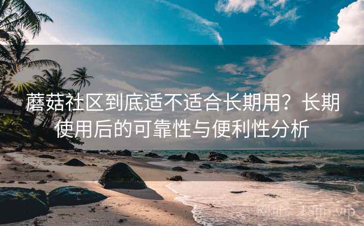 蘑菇社区到底适不适合长期用？长期使用后的可靠性与便利性分析